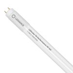 Ledvance LED Buis T8 Performance (HF) High Output 7.5W 1100lm - 840 Koel Wit | 60cm - Vervangt 18W