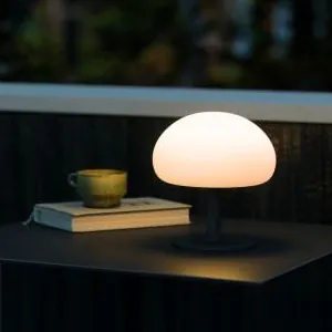 Draagbare lampen